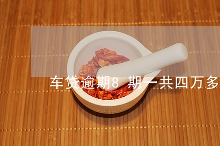 车贷逾期8期一共四万多的钱 车贷逾期8期一共四万多的钱