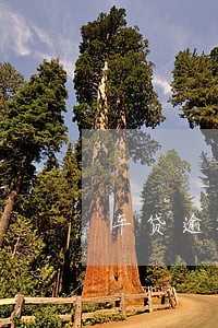 车贷逾期90天怎么沟通 车贷逾期90天怎么沟通
