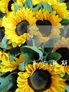 车贷逾期90天能取公积金吗 车贷逾期90天能取公积金吗