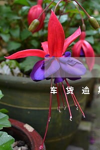 车贷逾期90天还上了怎么消 车贷逾期90天还上了怎么消