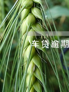 车贷逾期9个月车被开走