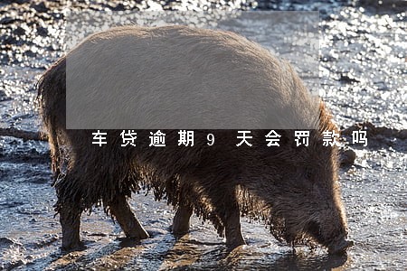 车贷逾期9天会罚款吗 车贷逾期9天会罚款吗