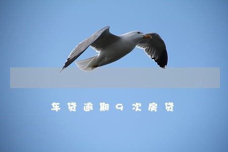 车贷逾期9次房贷 车贷逾期9次房贷