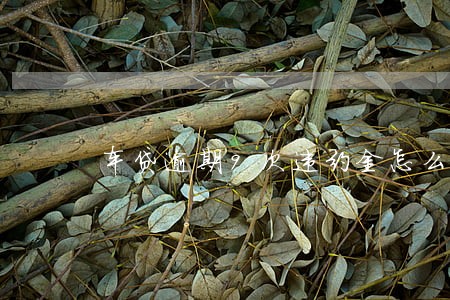 车贷逾期9次违约金怎么算的 车贷逾期9次违约金怎么算的