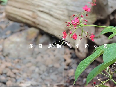 车贷逾期一个月6天 车贷逾期一个月6天