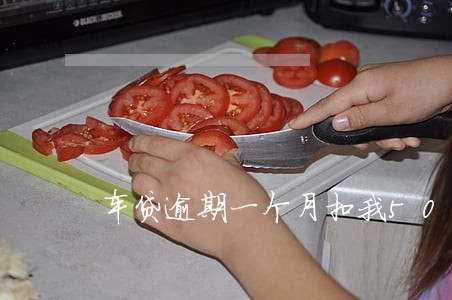 车贷逾期一个月扣我500 车贷逾期一个月扣我500