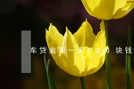 车贷逾期一天100块钱 车贷逾期一天100块钱
