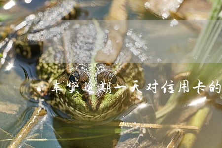 车贷逾期一天对信用卡的影响 车贷逾期一天对信用卡的影响