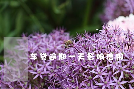 车贷逾期一天影响信用 车贷逾期一天影响信用