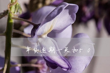 车贷逾期一天扣50 车贷逾期一天扣50