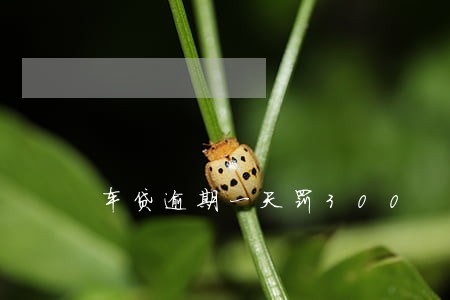 车贷逾期一天罚300 车贷逾期一天罚300