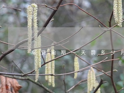 车贷逾期一天罚多少月供3980 车贷逾期一天罚多少月供3980