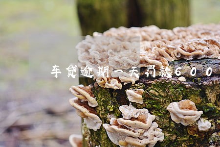 车贷逾期一天罚款600百 车贷逾期一天罚款600百