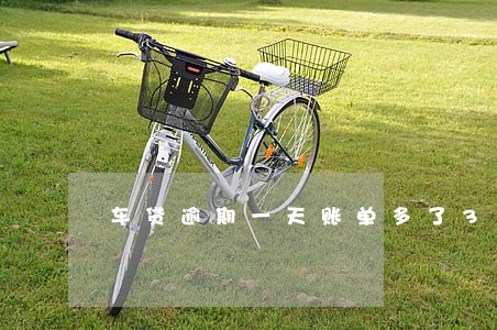 车贷逾期一天账单多了300多元 车贷逾期一天账单多了300多元