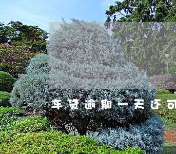 车贷逾期一天还可以办信用卡吗 车贷逾期一天还可以办信用卡吗