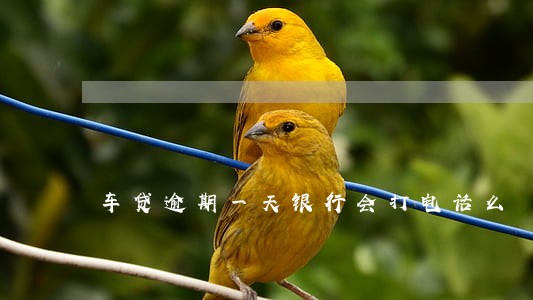 车贷逾期一天银行会打电话么 车贷逾期一天银行会打电话么