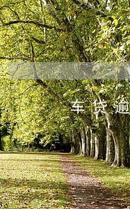 车贷逾期一天银行打电话催吗