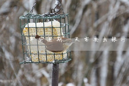车贷逾期一天需要去银行处理吗 车贷逾期一天需要去银行处理吗