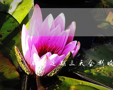 车贷逾期三天会影响信用吗