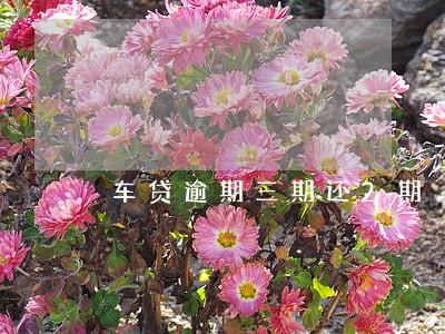 车贷逾期三期还2期 车贷逾期三期还2期