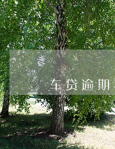 车贷逾期不是银行收车 车贷逾期不是银行收车
