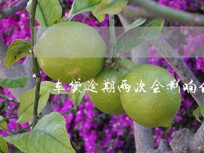 车贷逾期两次会影响信用 车贷逾期两次会影响信用