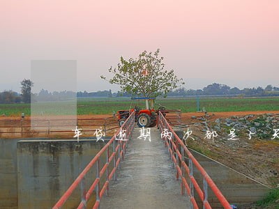 车贷逾期两次都是5天