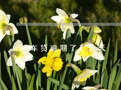 车贷逾期了15天 车贷逾期了15天