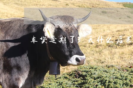 车贷逾期了3天什么后果 车贷逾期了3天什么后果
