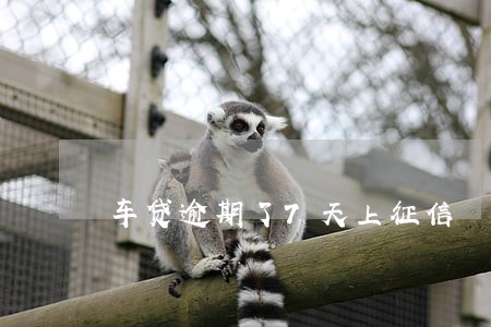 车贷逾期了7天上征信 车贷逾期了7天上征信