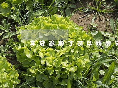 车贷逾期了可以找房贷银行协商吗