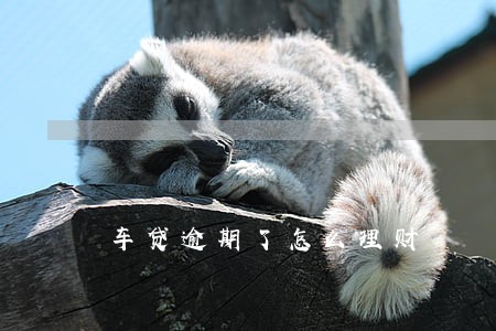 车贷逾期了怎么理财 车贷逾期了怎么理财
