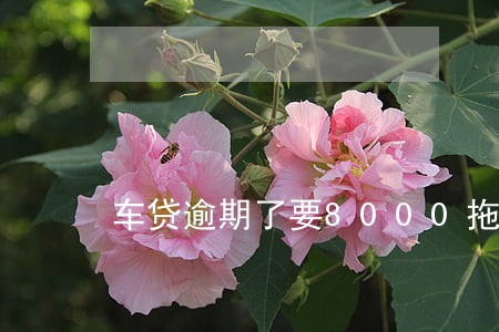 车贷逾期了要8000拖车费 车贷逾期了要8000拖车费