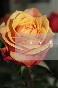 车贷逾期了银行怎么办 车贷逾期了银行怎么办
