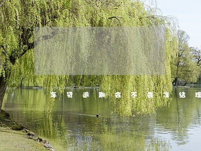 车贷逾期会不会冻结理财产品