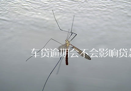 车贷逾期会不会影响贷款