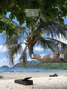 车贷逾期会影响芝麻信用分吗 车贷逾期会影响芝麻信用分吗