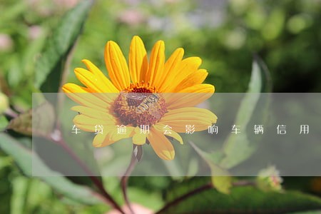 车贷逾期会影响车辆信用吗