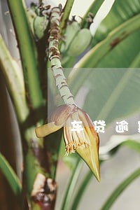 车贷逾期信用卡停用怎么办 车贷逾期信用卡停用怎么办