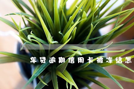车贷逾期信用卡被冻结怎么还款 车贷逾期信用卡被冻结怎么还款