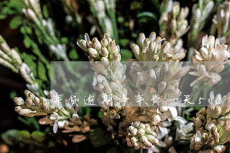 车贷逾期停车费一天50 车贷逾期停车费一天50