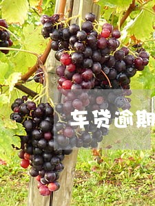 车贷逾期几个月要违约金1万 车贷逾期几个月要违约金1万