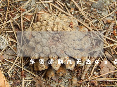 车贷逾期几天去4s点申请展期 车贷逾期几天去4s点申请展期