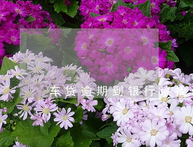 车贷逾期到银行该找谁 车贷逾期到银行该找谁