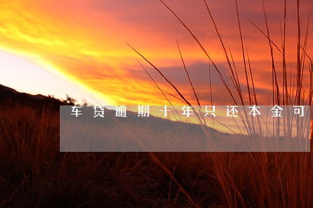 车贷逾期十年只还本金可以吗 车贷逾期十年只还本金可以吗