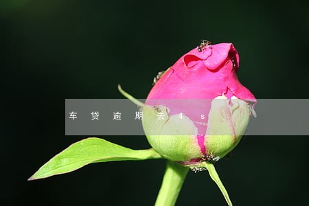 车贷逾期去4s 车贷逾期去4s