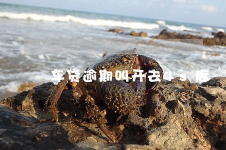 车贷逾期叫开去4s店 车贷逾期叫开去4s店