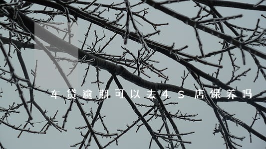 车贷逾期可以去4S店保养吗 车贷逾期可以去4S店保养吗