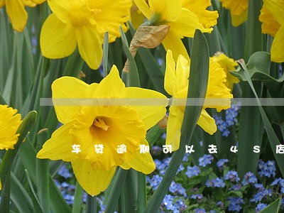 车贷逾期可以去4S店吗 车贷逾期可以去4S店吗