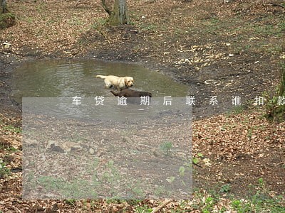 车贷逾期后联系谁扣款6 车贷逾期后联系谁扣款6
